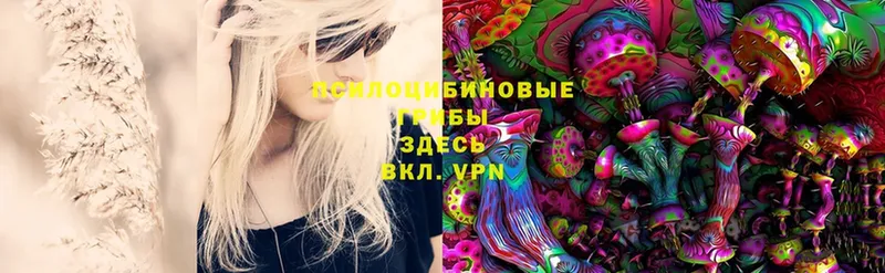 Галлюциногенные грибы Magic Shrooms  Советский 